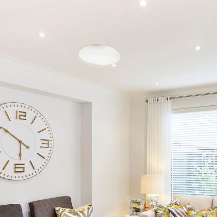 LED Ceiling light LED/12W/230V 26cm 3000K/4000K/6400K