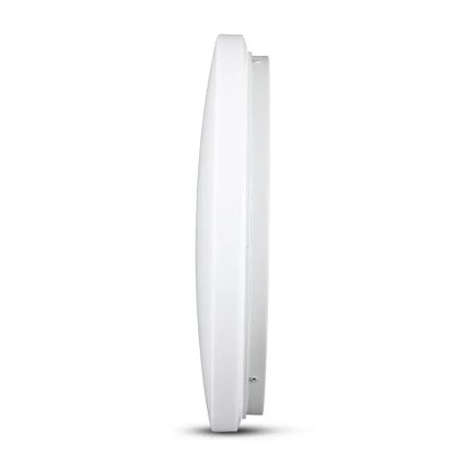 LED Ceiling light LED/12W/230V 26cm 3000K/4000K/6400K