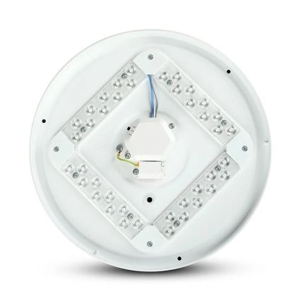LED Ceiling light LED/12W/230V 26cm 3000K/4000K/6400K
