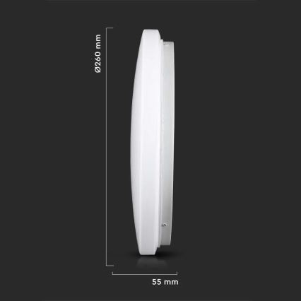 LED Ceiling light LED/12W/230V 26cm 3000K/4000K/6400K