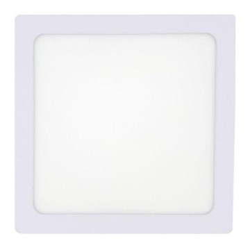 LED Ceiling light LED/12W/230V 2700K 16,3x16,3 cm white