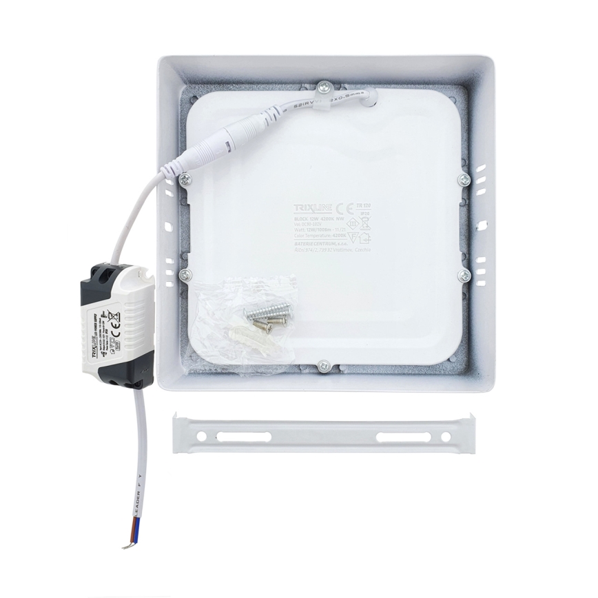 LED ceiling light LED/12W/230V 2700K