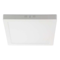LED Ceiling light LED/12W/230V 3000K 16,7x16,7 cm white