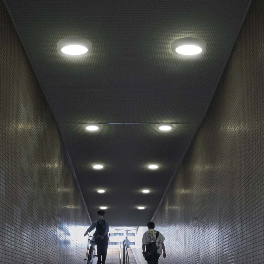 LED Ceiling light LED/12W/230V 3000K white