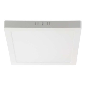 LED Ceiling light LED/12W/230V 4000K 16,7x16,7 cm white