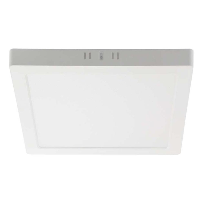 LED Ceiling light LED/12W/230V 4000K 16,7x16,7 cm white