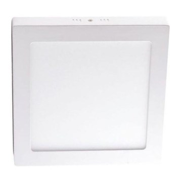 LED Ceiling light LED/12W/230V 4000K 17,2x17,2 cm