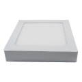 LED ceiling light LED/12W/230V 6000K