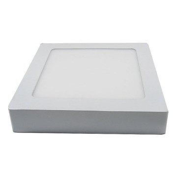 LED ceiling light LED/12W/230V 6000K