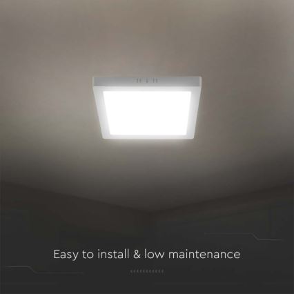 LED Ceiling light LED/12W/230V 6500K 16,7x16,7 cm white