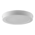 LED Ceiling light LED/12W/230V 6500K d. 16,7 cm white