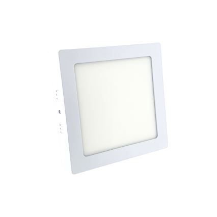 LED ceiling light LED/12W/230V 6500K