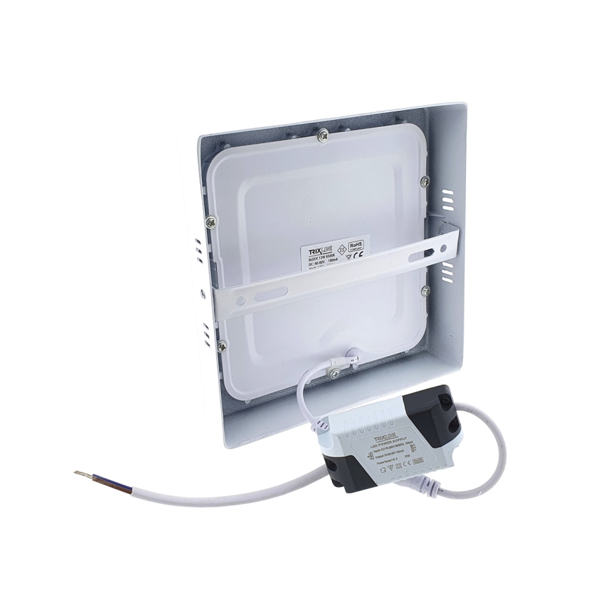LED ceiling light LED/12W/230V 6500K