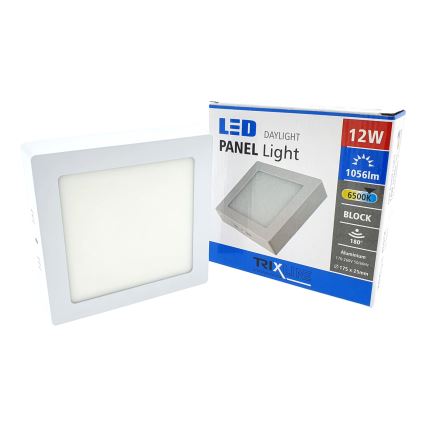 LED ceiling light LED/12W/230V 6500K