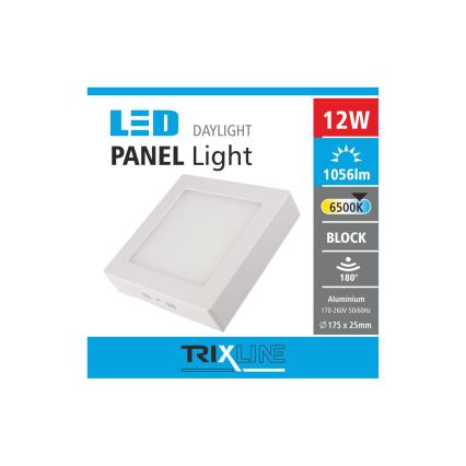 LED ceiling light LED/12W/230V 6500K