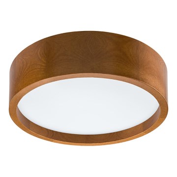 LED ceiling light LED/12W/230V