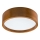LED ceiling light LED/12W/230V