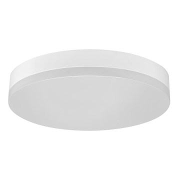 LED Ceiling light LED/12W/230V IP44
