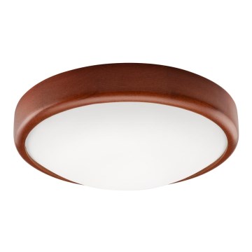 LED Ceiling Light LED/12W/230V, Pine