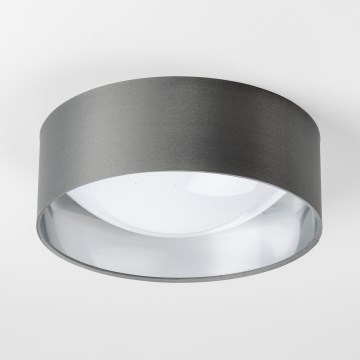LED Ceiling Light LED/12W/230V Ø 32 cm gray/silver