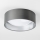LED Ceiling Light LED/12W/230V Ø 32 cm gray/silver