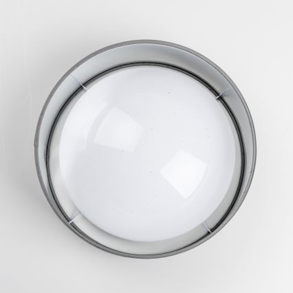 LED Ceiling Light LED/12W/230V Ø 32 cm gray/silver