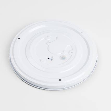 LED Ceiling Light LED/12W/230V Ø 32 cm gray/silver