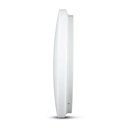 LED Ceiling light LED/18W/230V 31 cm 3000K/4000K/6400K