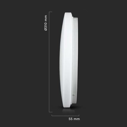 LED Ceiling light LED/18W/230V 31 cm 3000K/4000K/6400K