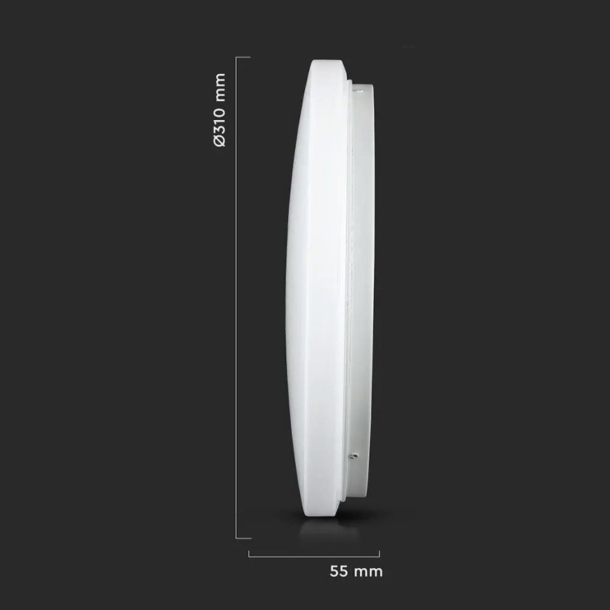 LED Ceiling light LED/18W/230V 31 cm 3000K/4000K/6400K