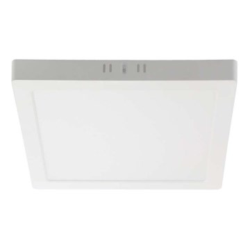LED Ceiling light LED/18W/230V 4000K 21,4x,21,4 cm white