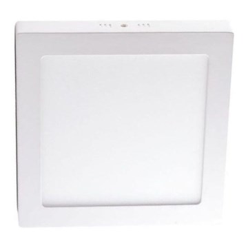 LED Ceiling light LED/18W/230V 4000K 22,5x22,5 cm