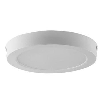 LED Ceiling light LED/18W/230V 4000K