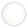 LED Ceiling light LED/18W/230V 4200K d. 21 cm white