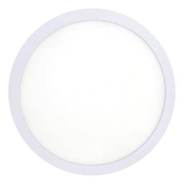 LED Ceiling light LED/18W/230V 4200K d. 21 cm white