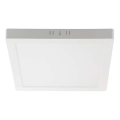 LED Ceiling light LED/18W/230V 6500K 21,4x21,4 cm white