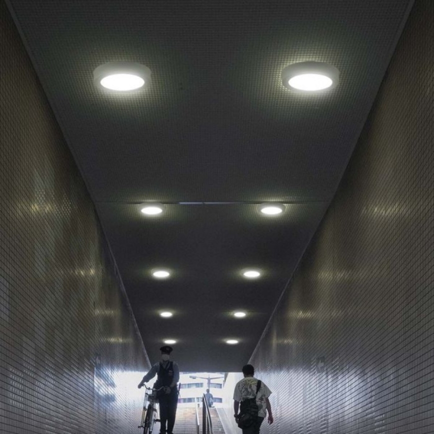 LED Ceiling light LED/18W/230V 6500K