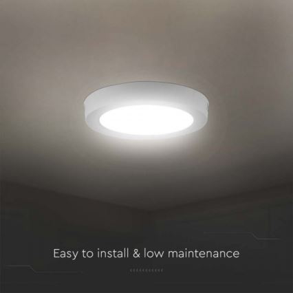 LED Ceiling light LED/18W/230V 6500K
