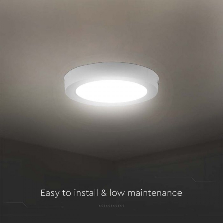 LED Ceiling light LED/18W/230V 6500K