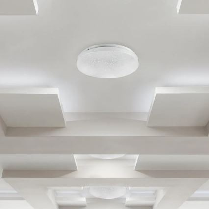 LED Ceiling light LED/18W/230V d. 31 cm 3000/4000/6400K