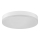 LED Ceiling light LED/18W/230V IP44
