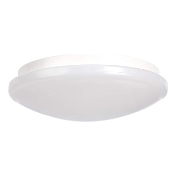 LED Ceiling light LED/20W/230V 2700K