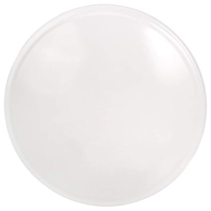 LED Ceiling light LED/20W/230V 2700K