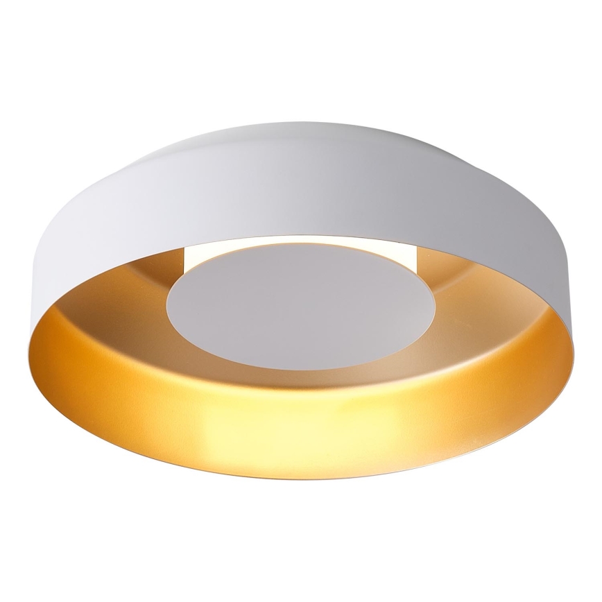 LED Ceiling light LED/20W/230V 3000K white