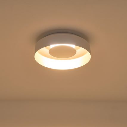 LED Ceiling light LED/20W/230V 3000K white