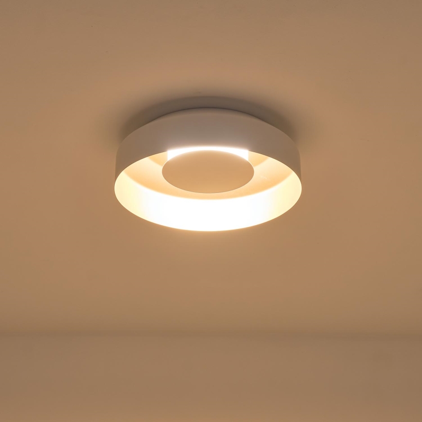 LED Ceiling light LED/20W/230V 3000K white