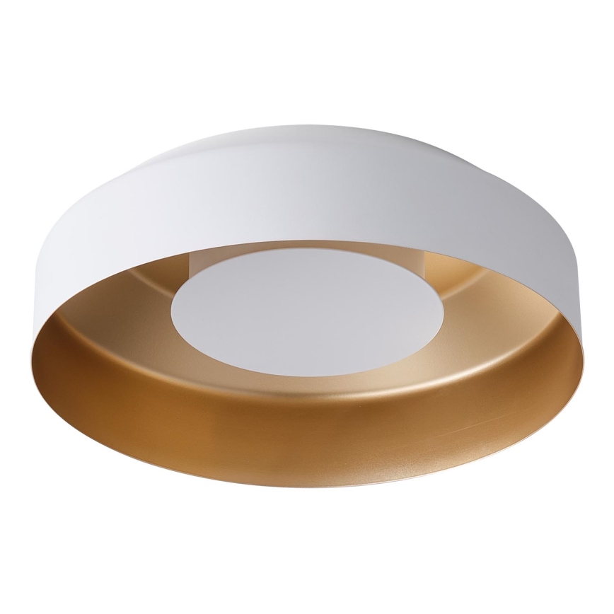 LED Ceiling light LED/20W/230V 3000K white
