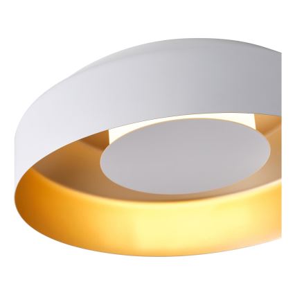 LED Ceiling light LED/20W/230V 3000K white