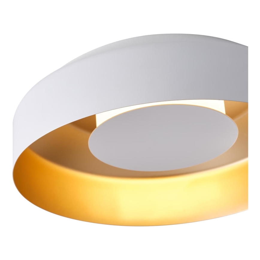 LED Ceiling light LED/20W/230V 3000K white