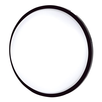 LED Ceiling light LED/20W/230V IP65